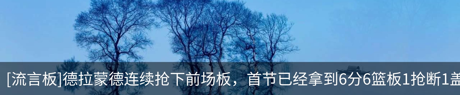 新闻动态
